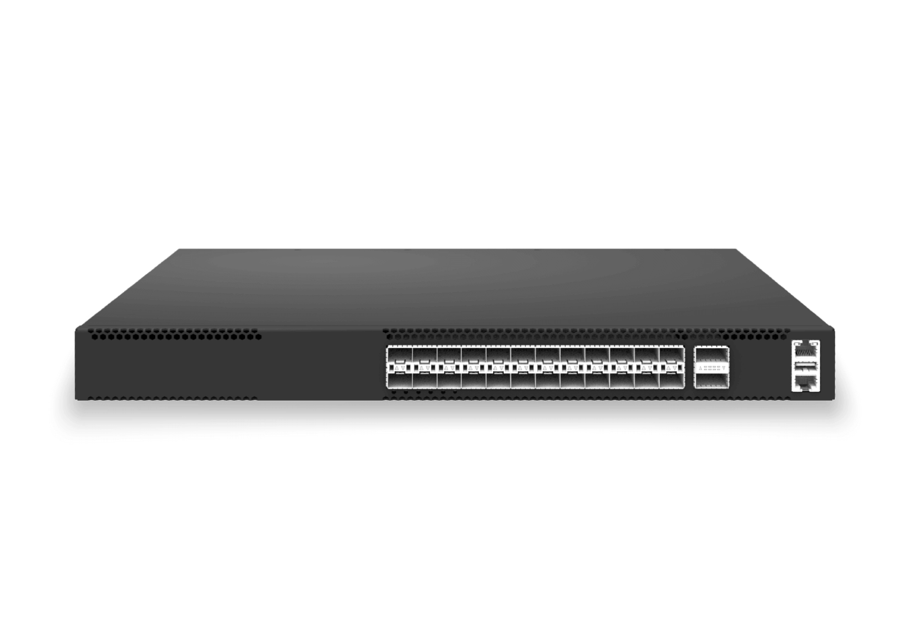 XS-AA-24X25-2X100-AGG front panel product image